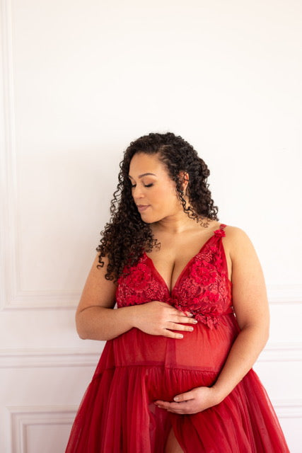 Burgundy Wisteria Gown