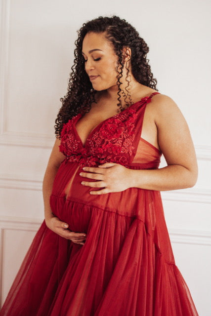 Burgundy Wisteria Gown