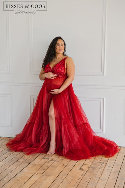 Burgundy Wisteria Gown