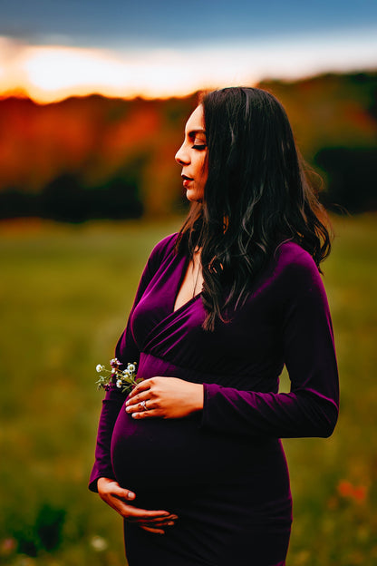 Plum Purple Fitted Gown - 