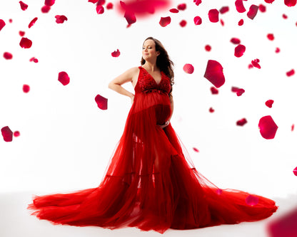 Burgundy Wisteria Gown