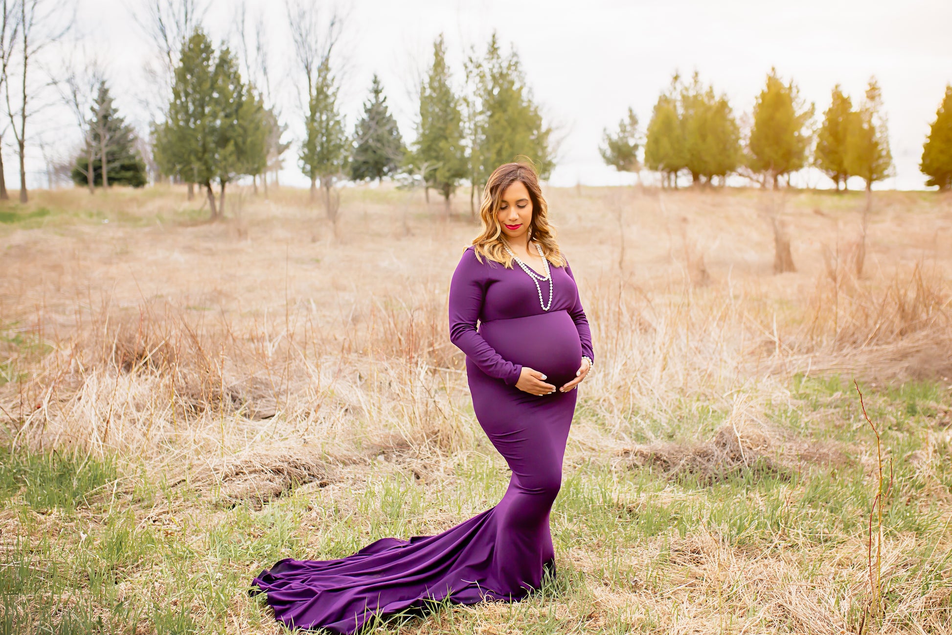 Plum Purple Fitted Gown - 