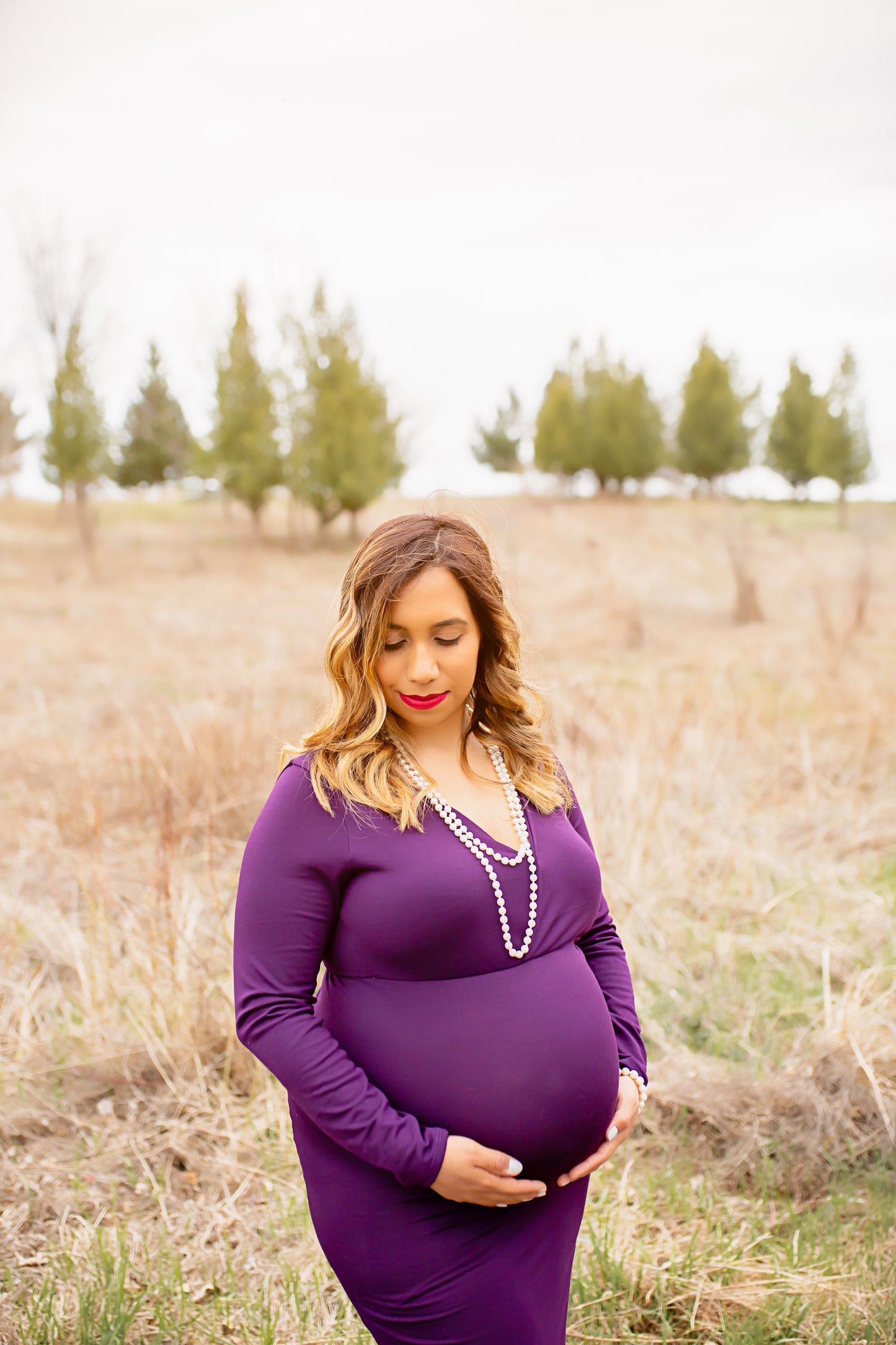 Plum Purple Fitted Gown - 