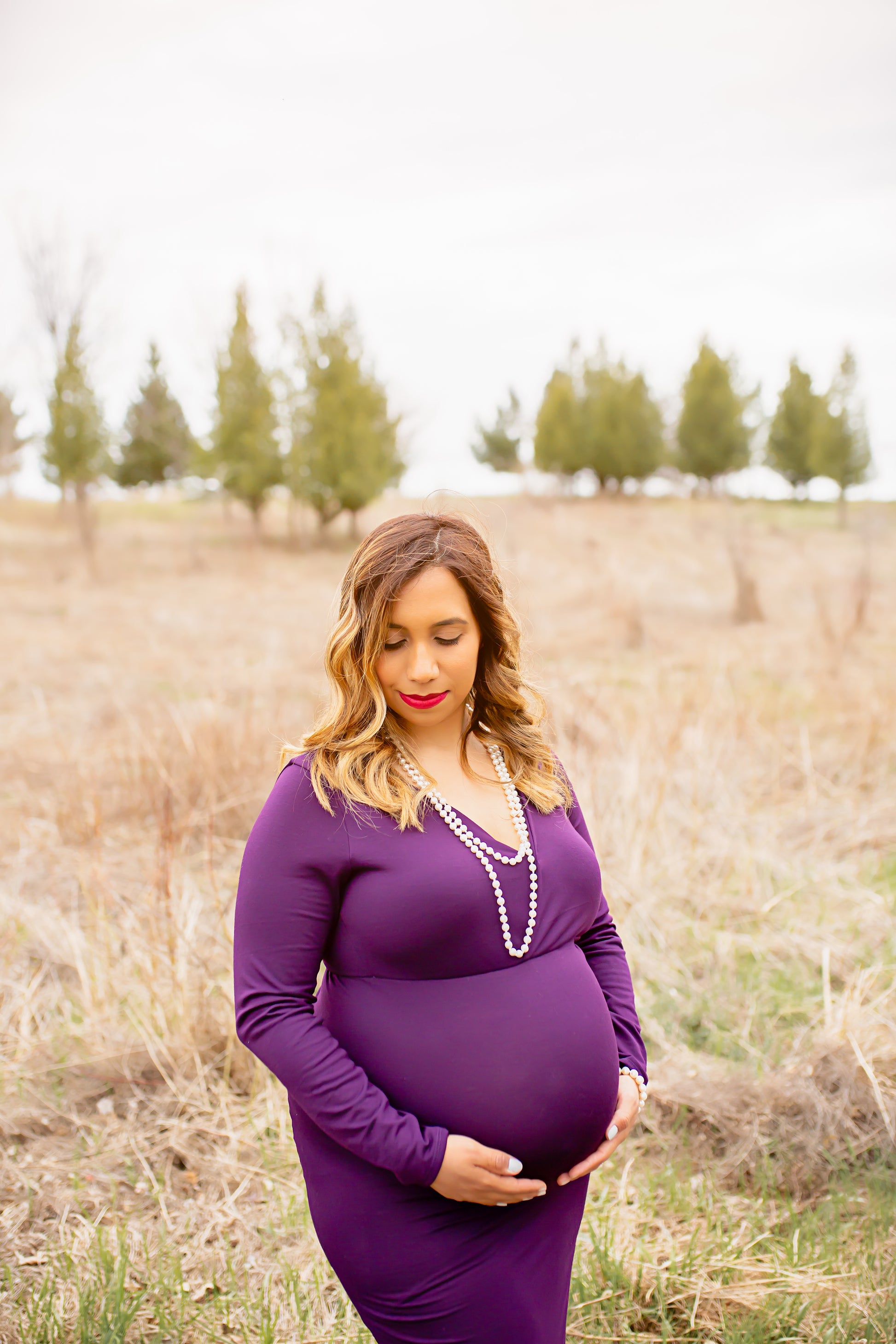 Plum Purple Fitted Gown - 
