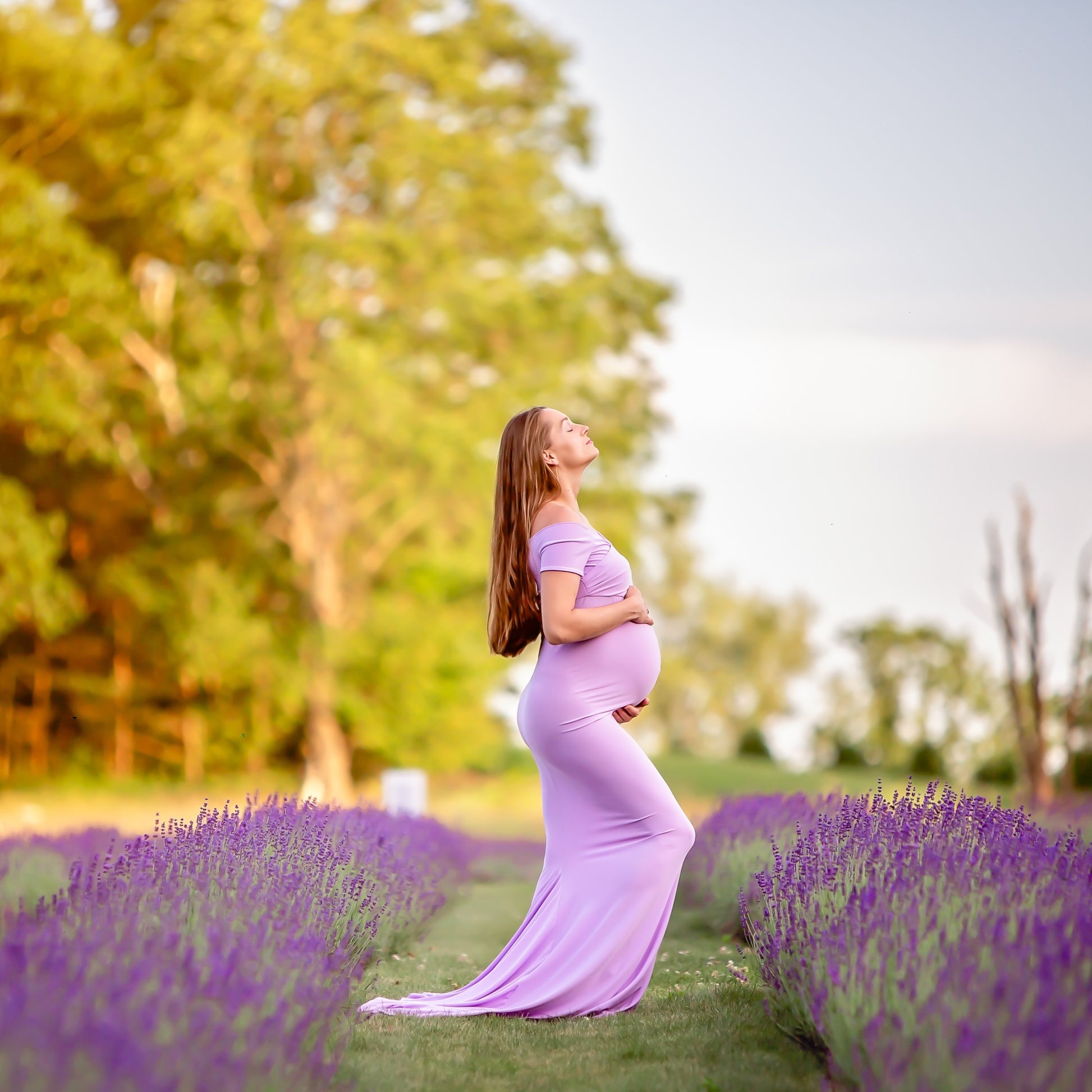 Lavender Purple Fitted Gown - maternity photoshoot dress