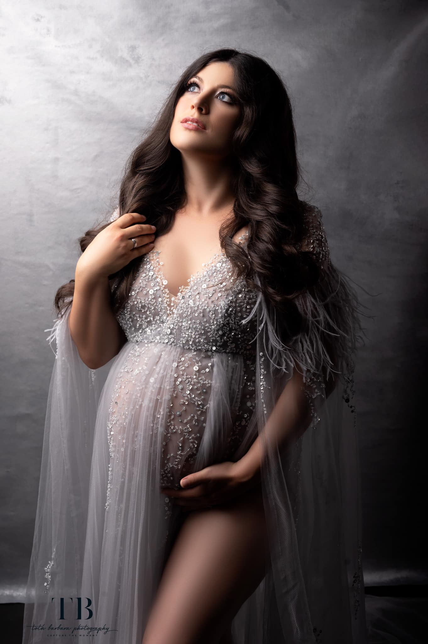 Silver Goddess Gown - maternity photoshoot dress