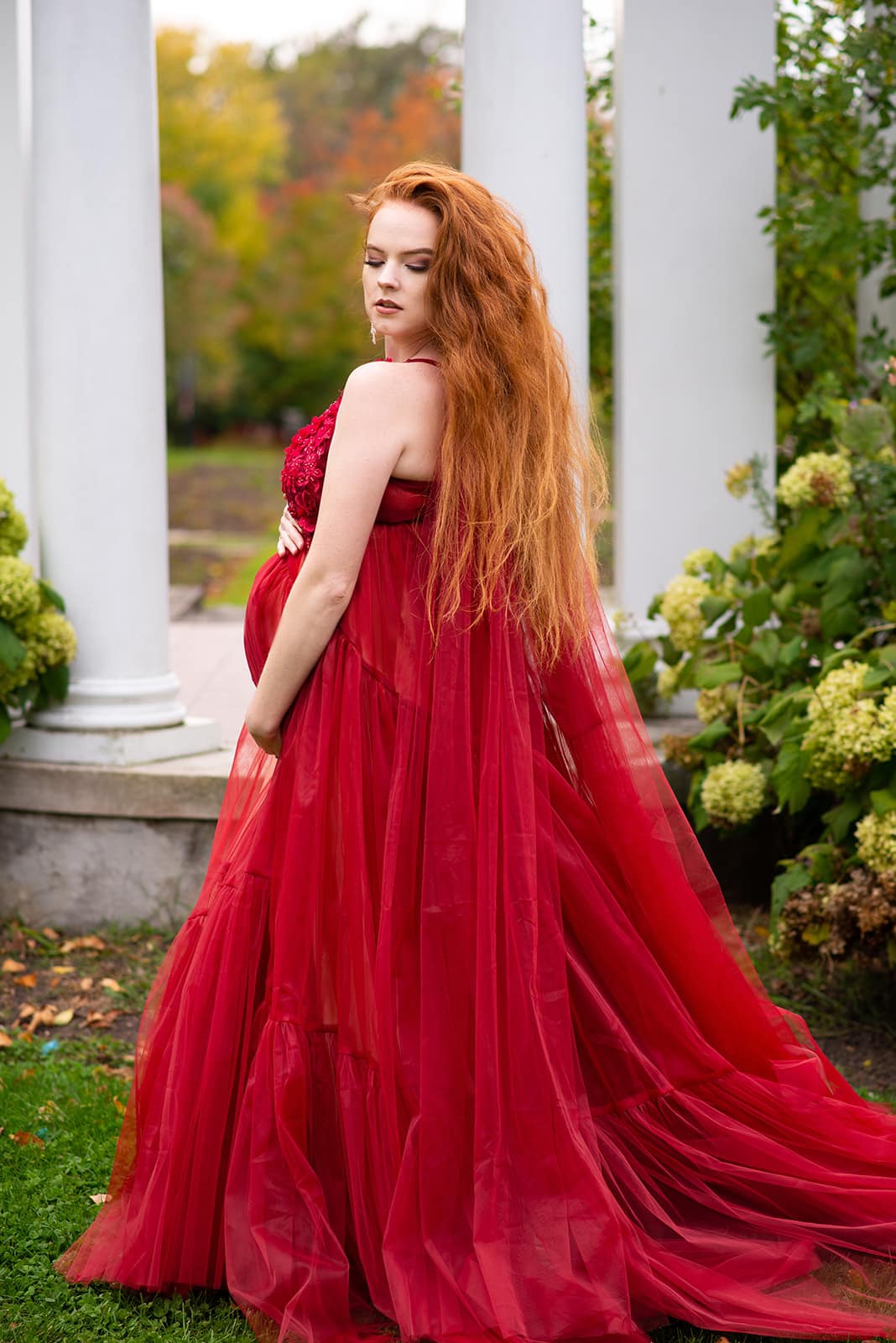 Burgundy Wisteria Gown